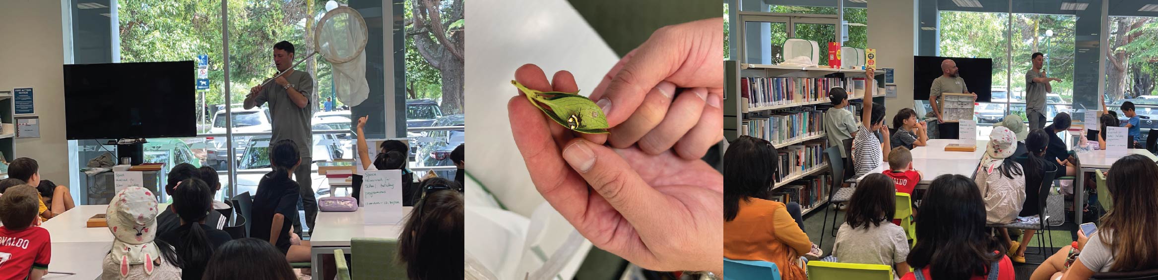 Bugs & Insects Workshop at Albany Village Library