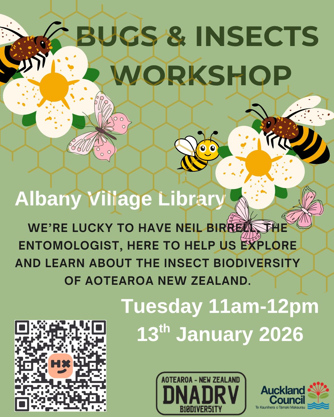 DNADRV insect workshop @ Albany Village Library